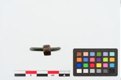 Foto von Bronzering (NHMW-PRAE-024946)